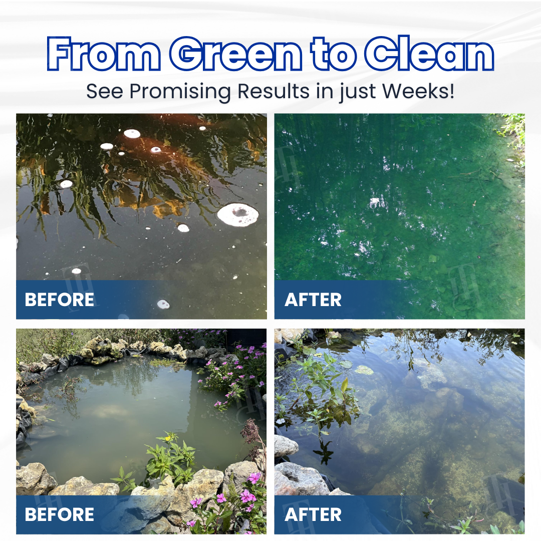 🐠 From Green to Clean Overnight! |⏱️ Crystal Clear in 24 Hours! | 𝐌𝐫𝐞𝐯𝐛𝐬𝐢𝐧® Aqua-Guardian Pro Formula