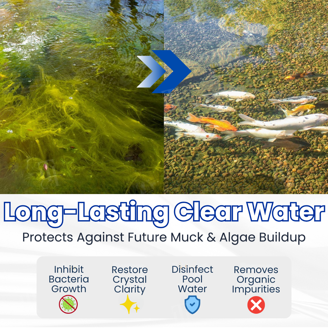 🐠 From Green to Clean Overnight! |⏱️ Crystal Clear in 24 Hours! | 𝐌𝐫𝐞𝐯𝐛𝐬𝐢𝐧® Aqua-Guardian Pro Formula
