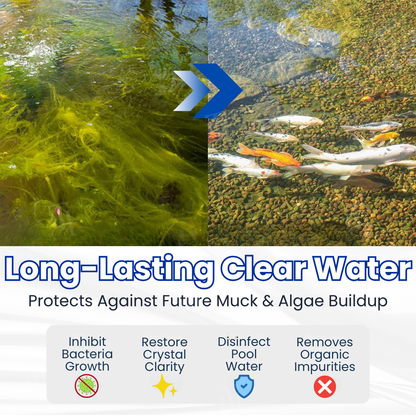 🐠 From Green to Clean Overnight! |⏱️ Crystal Clear in 24 Hours! | 𝐌𝐫𝐞𝐯𝐛𝐬𝐢𝐧® Aqua-Guardian Pro Formula